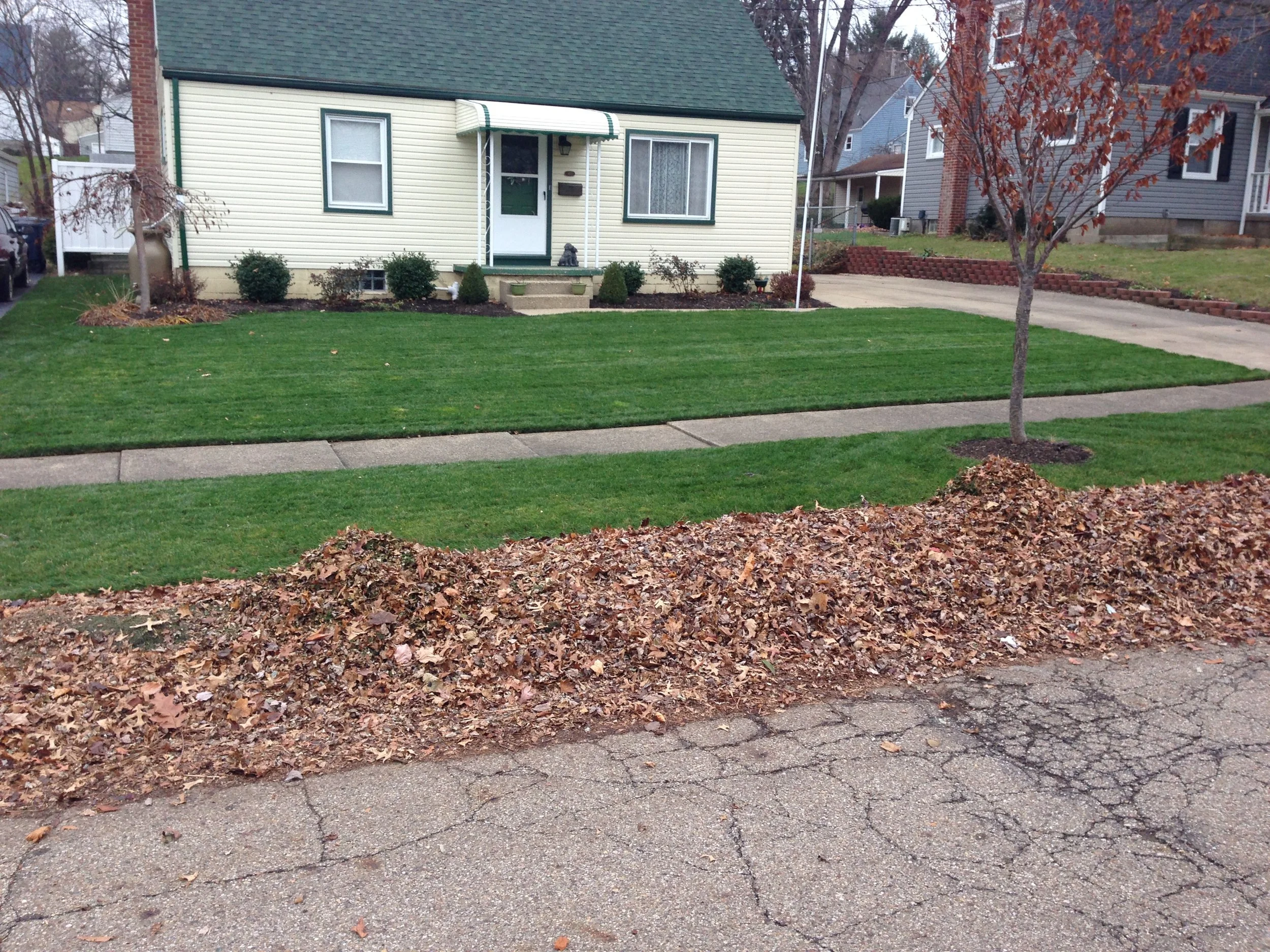 Leaf Clean-up in Akron Ohio