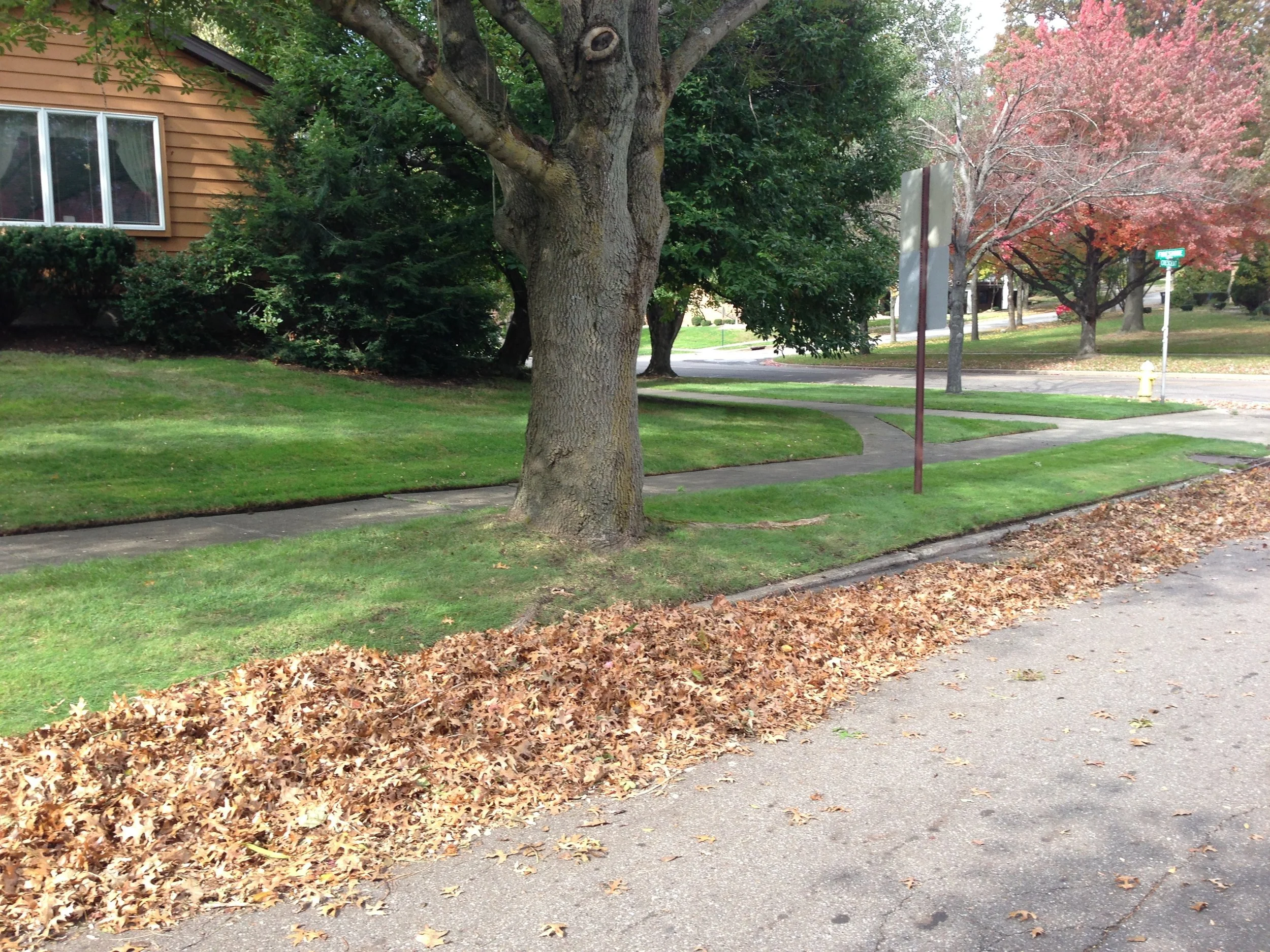 Leaf cleanups in Uniontown, Green, Akron, OHIO