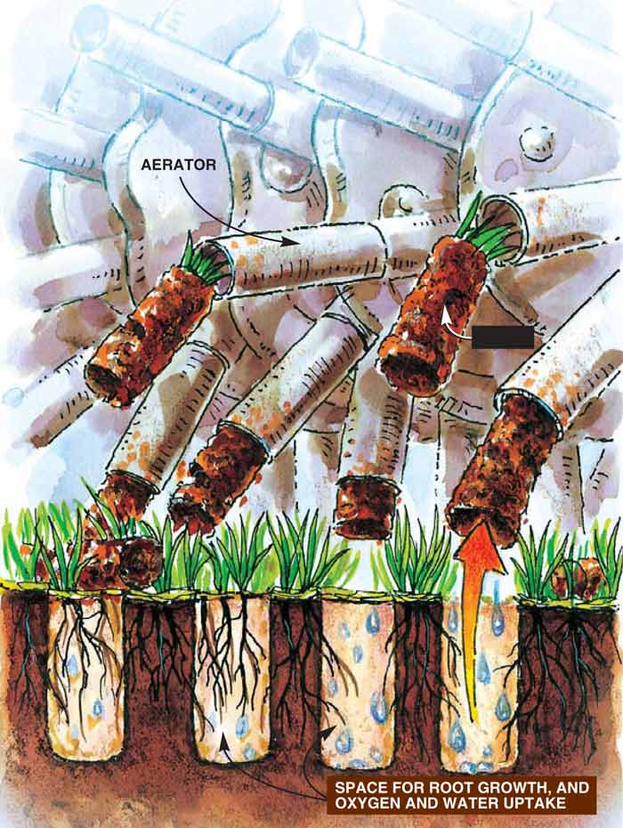 Lawn core aeration 330-671-7574