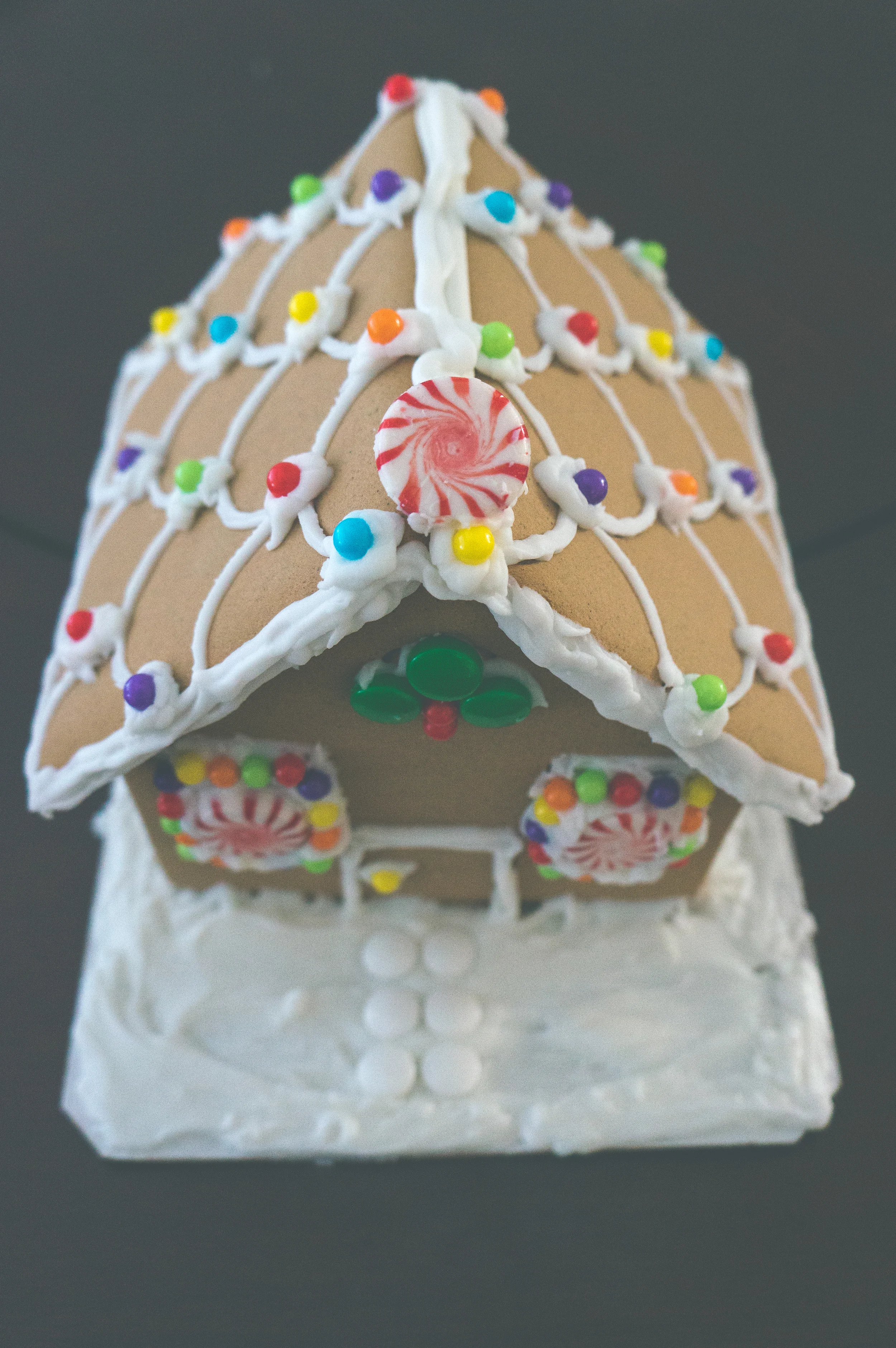 firstcalichristmas-10.jpg