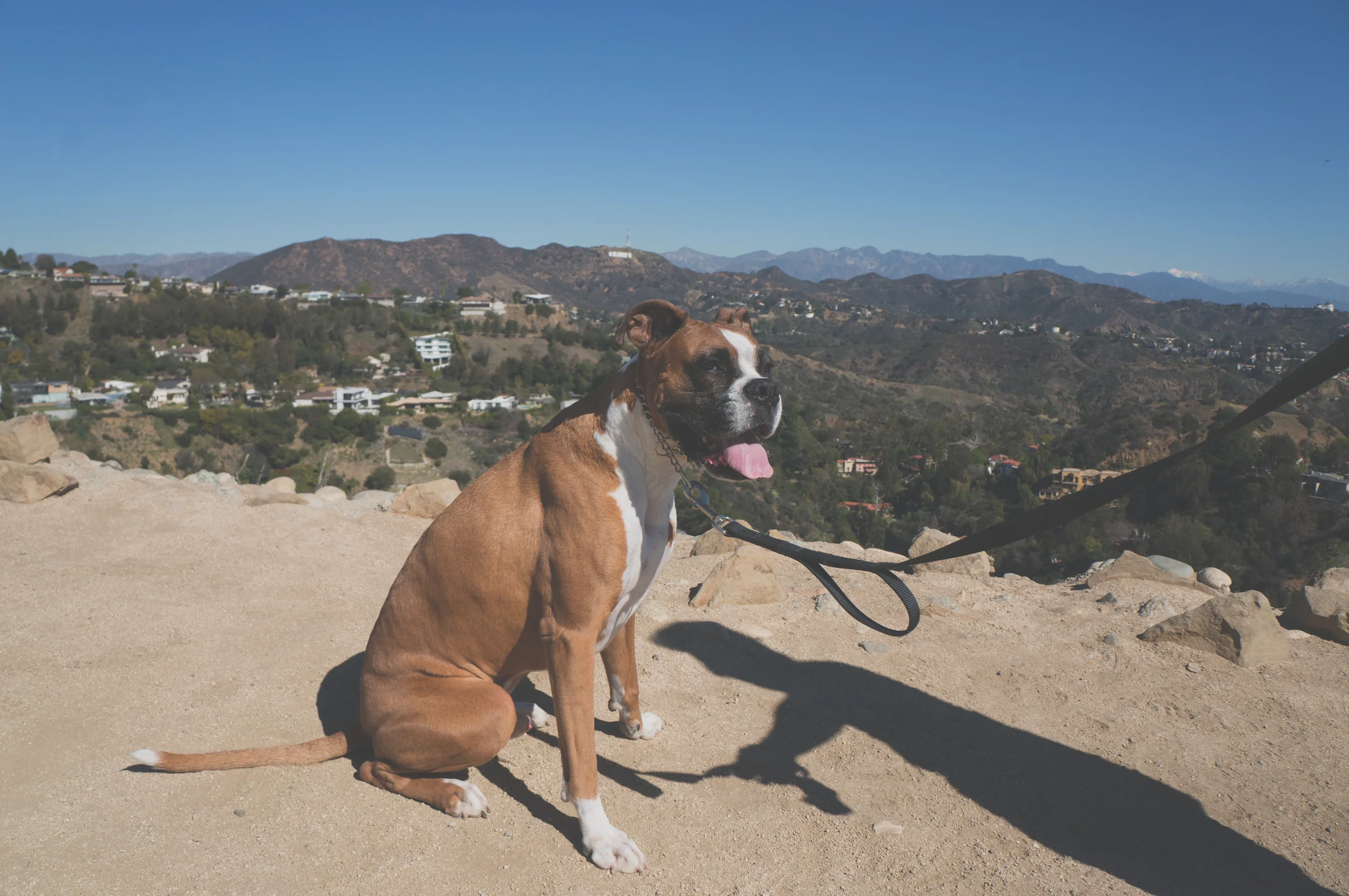 runyoncanyon-7.jpg