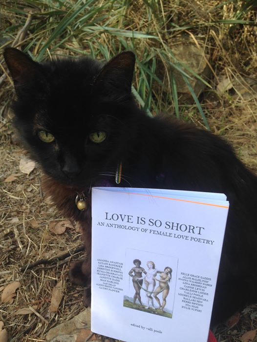 Nadyr is perusing the book.