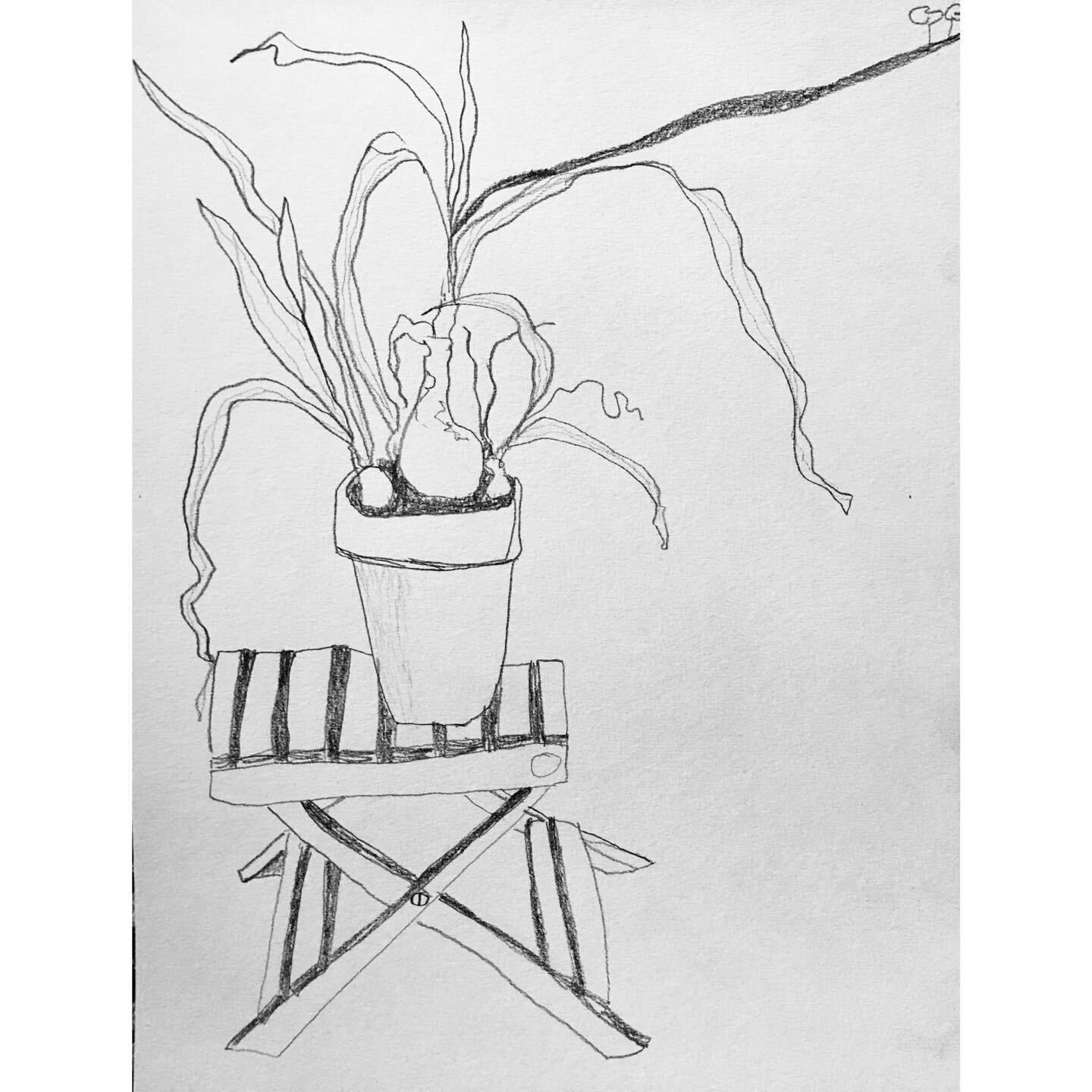 More sea onion on fold-up chair

Graphite pencil on paper 2021
27 x42cm

:
:
:
:
:
:
:
:
:
:
#drawing #pencilonpaper #pencildrawing #todayshoww #kunst #painter #artist #poet #contemporaryart #art #pencil #sketch #stilllife #paper #studio