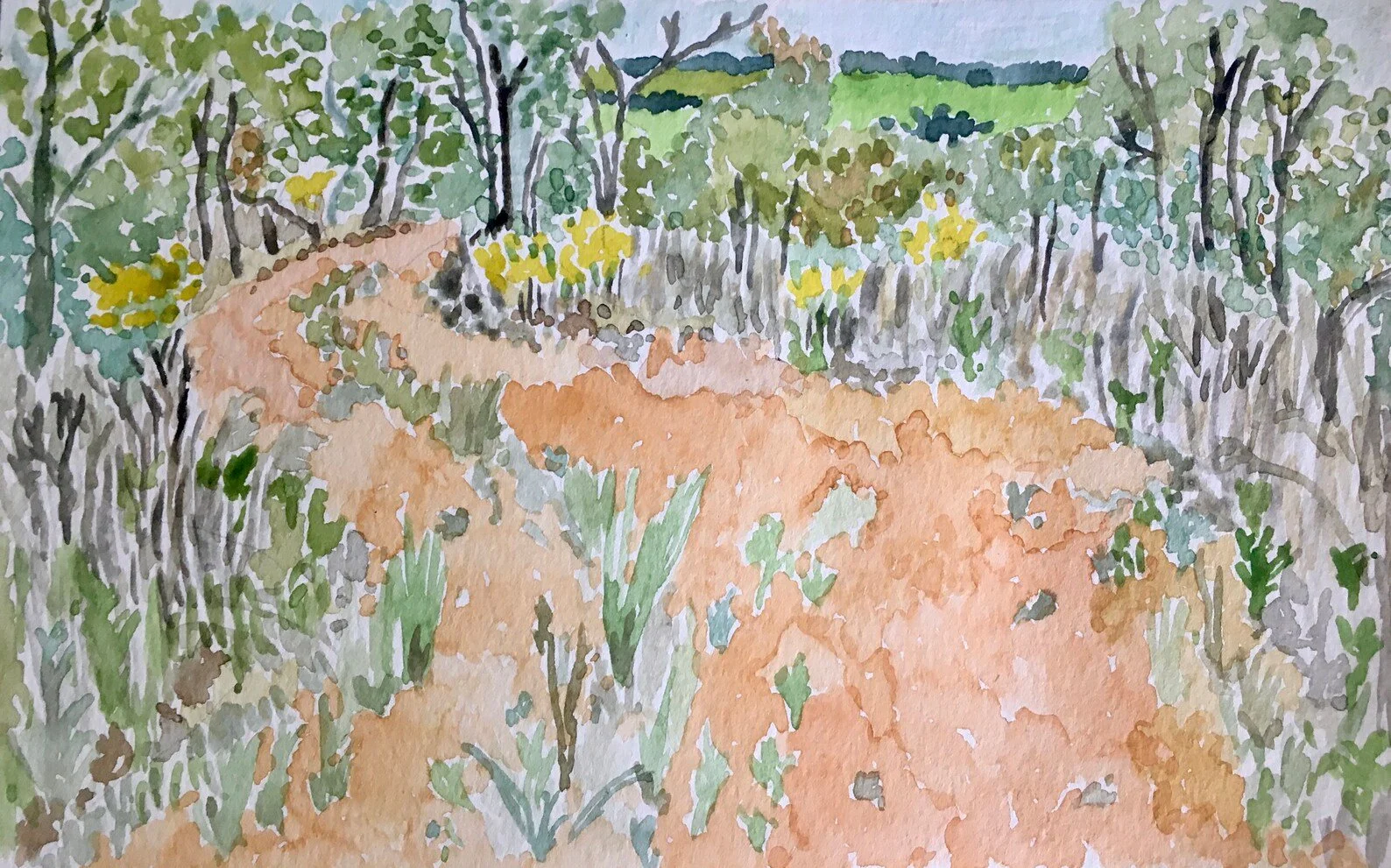 country road.jpg