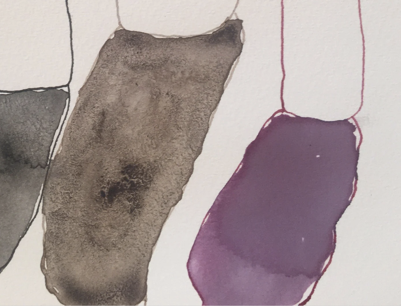 Screen Shot 2024-11-30 at 5.56.41 pm.png