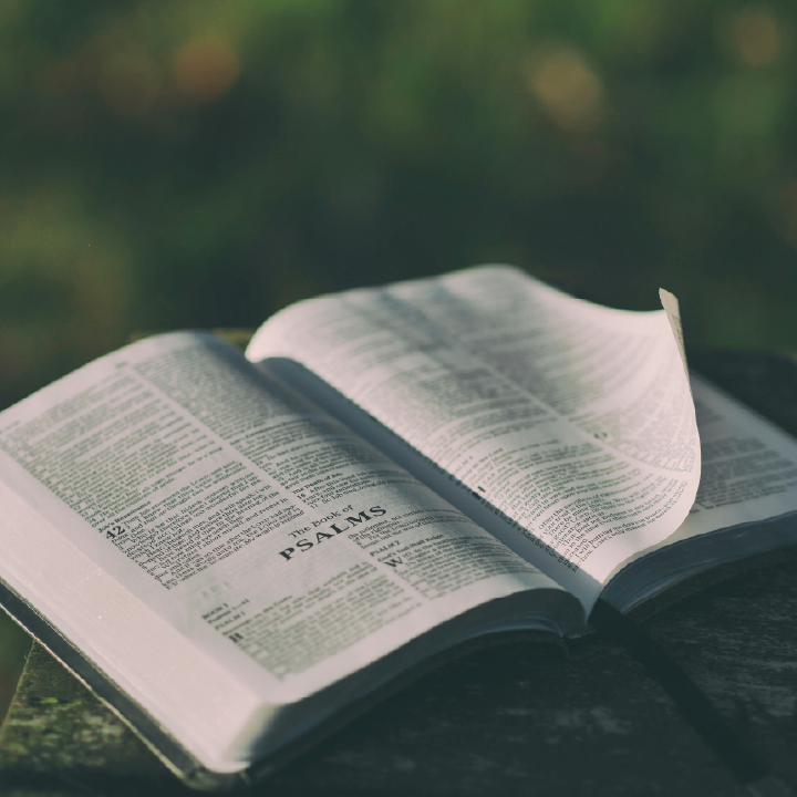 A Manual for Living in the Kingdom, Part 3