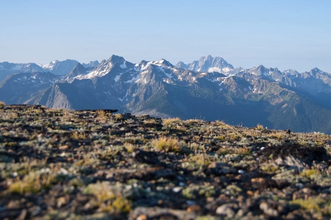 ED342885-F12C-4F33-9DF8-F0C1FCEE5659_1_105_c (1).jpeg