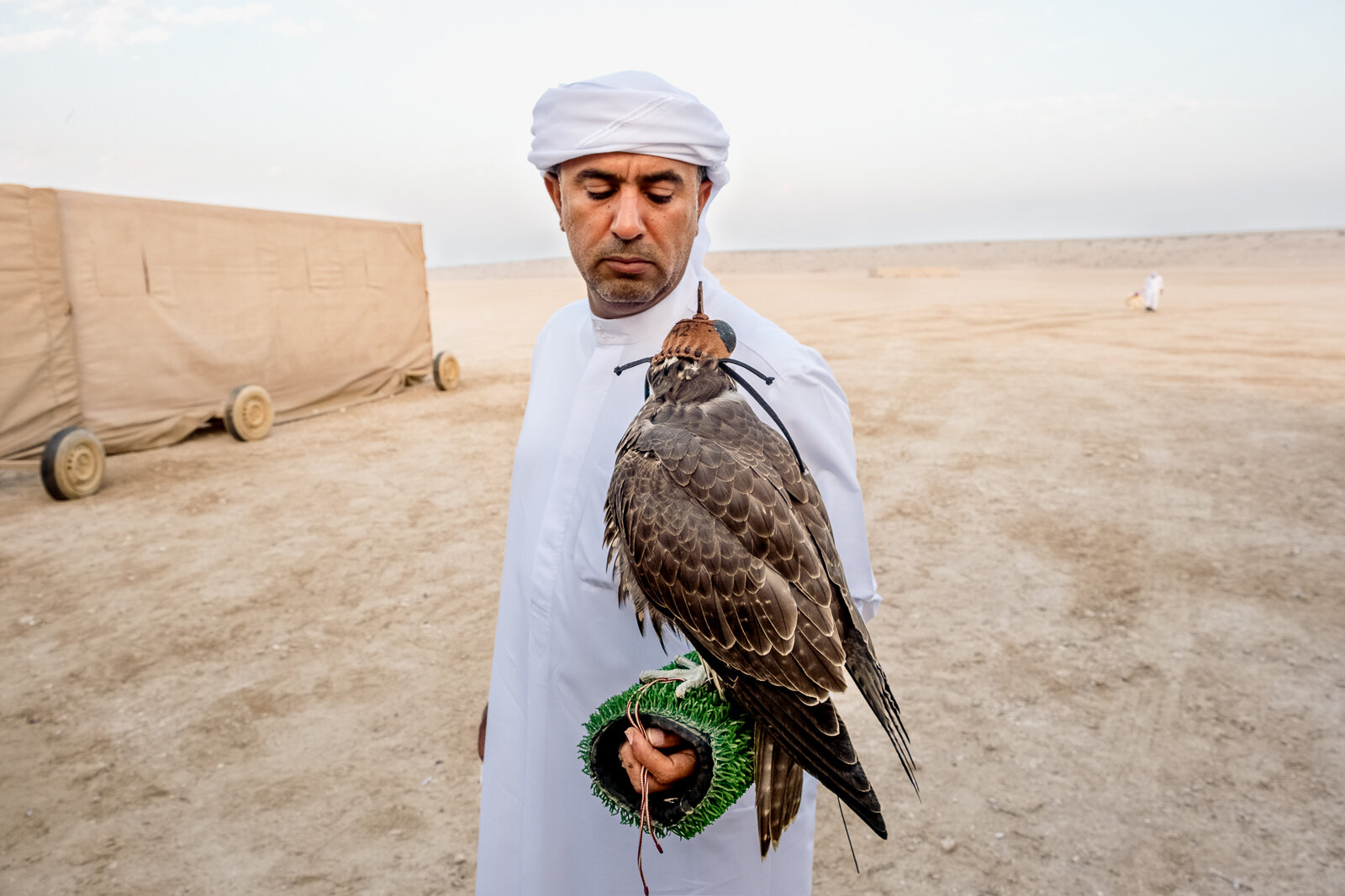 Falconer (11 of 48).jpg