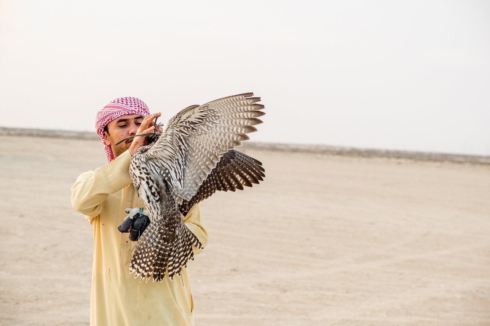 Falconer (13 of 48).jpg