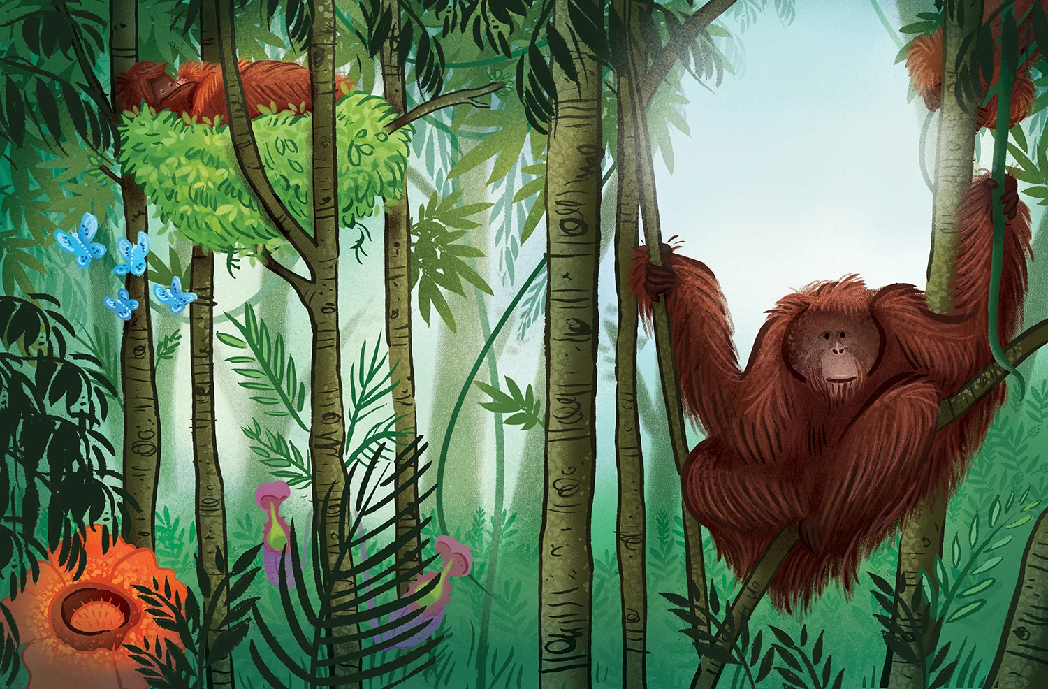 orangutanka_pg10-11_Papa.jpg