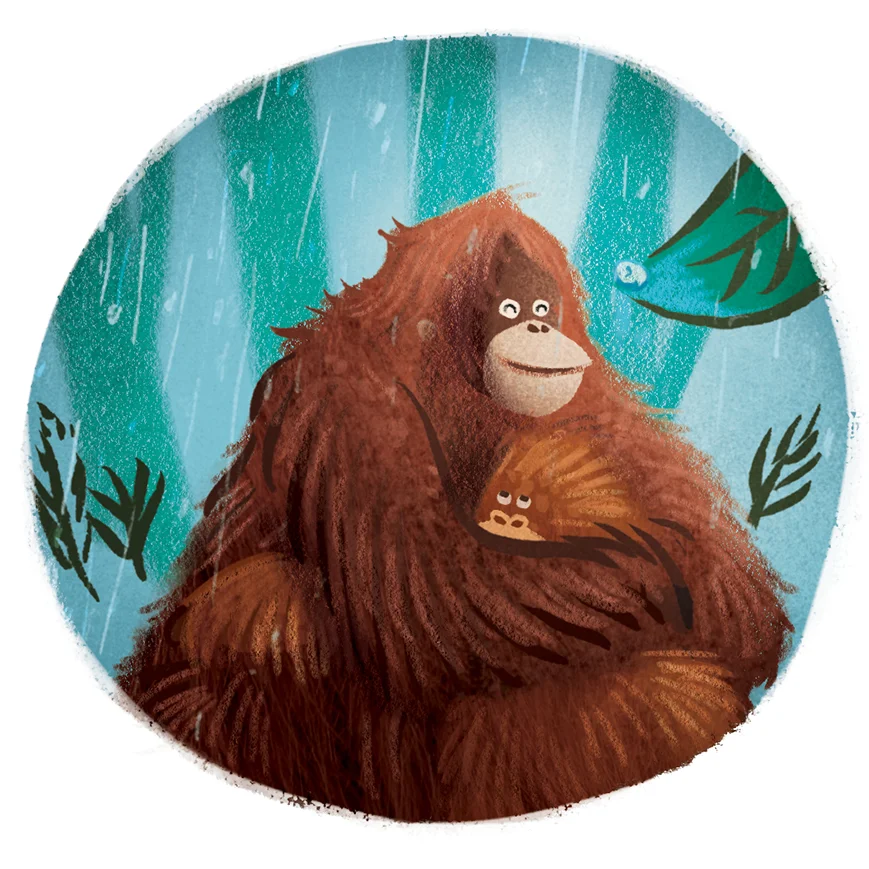 Orangutankaaww.jpg