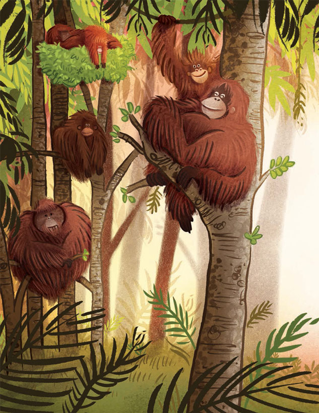 Orangutan by Rita Goldner Orangutan by Rita Goldner