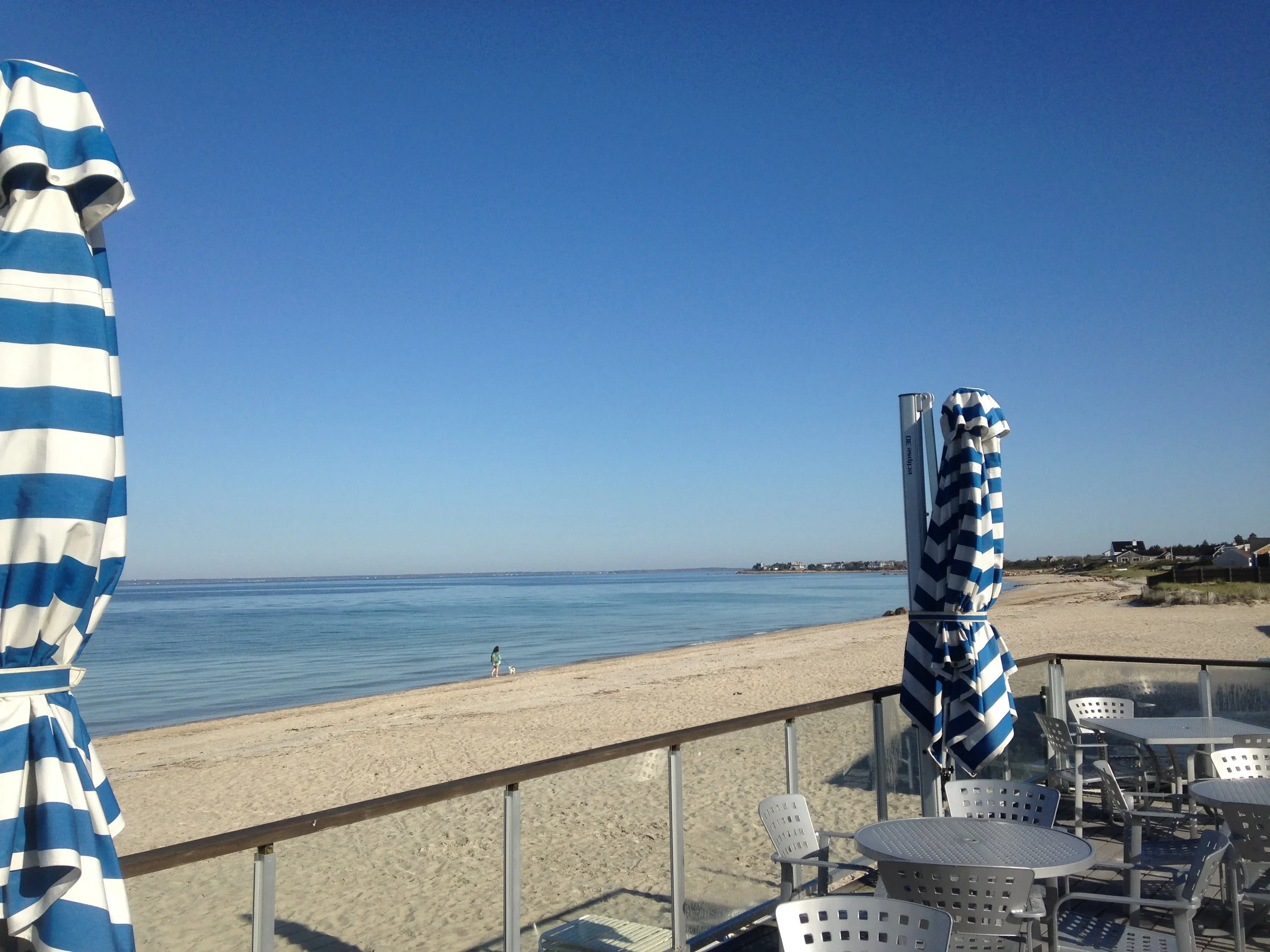 Workshops, writing, and #100picturebooks