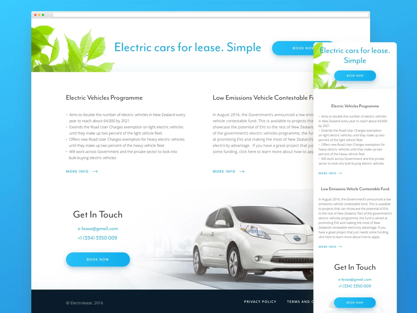 Electrolease 3.jpg