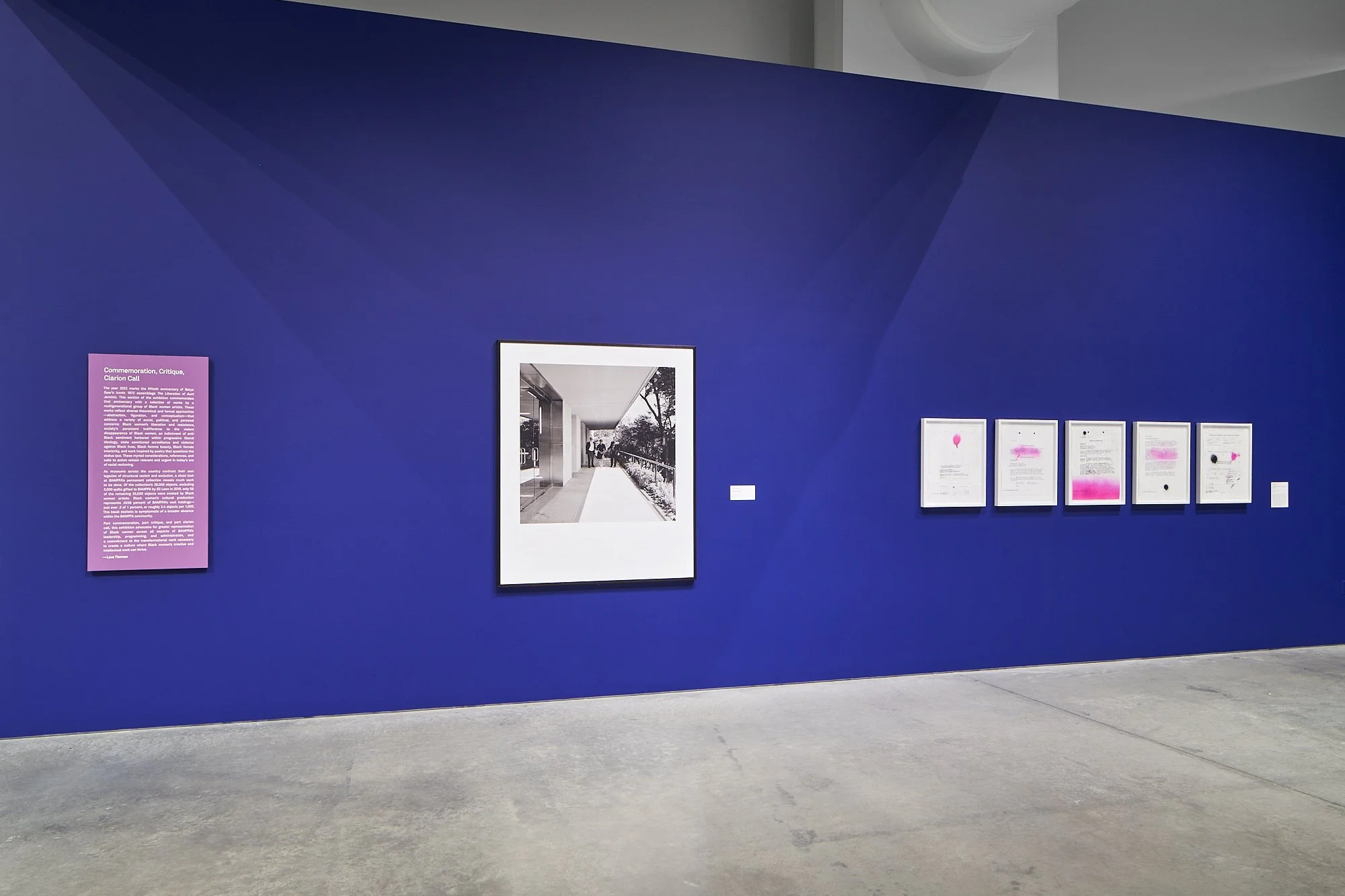 BAMPFA_TheArtistsEye_3-2022_40.jpg