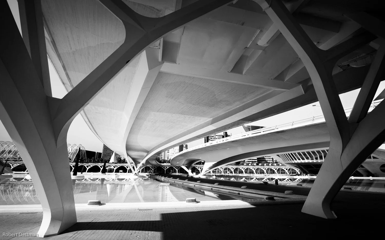 Under the Pont de Montolivet.