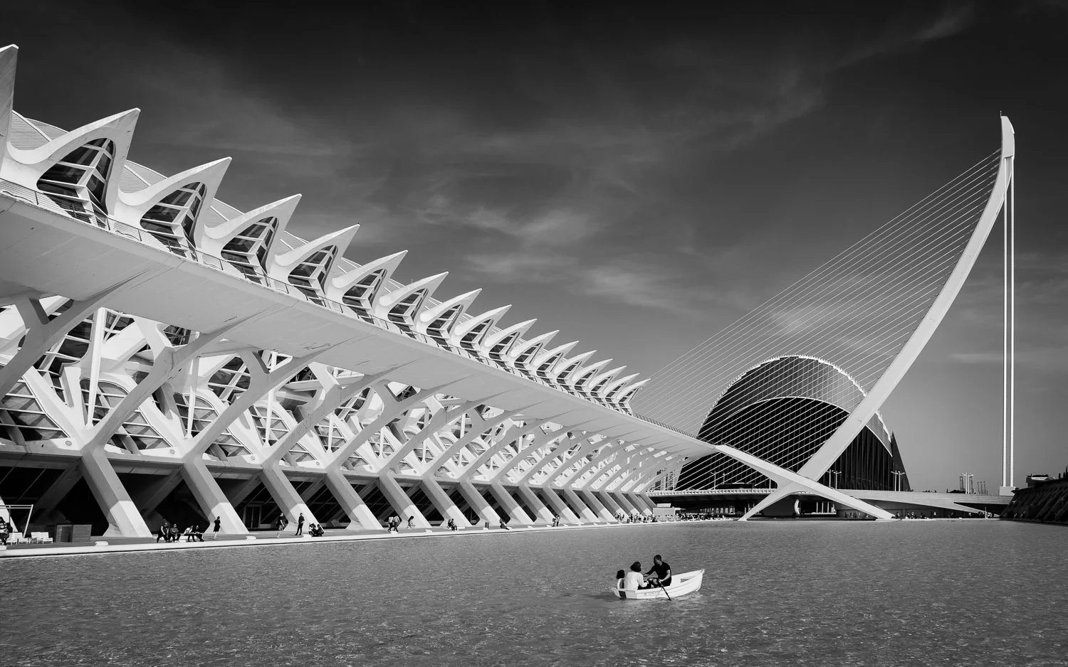 On the left, the Museum of Science, the harp-like structure is a suspension bridge with the dark parabola of the Agora beyond.
