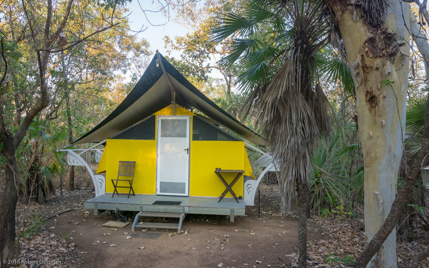 Hawk Dreaming Wilderness Lodge, our "home among the gum trees" for two nights.