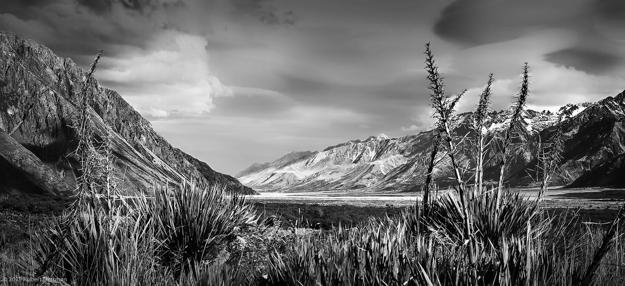 Tasman Valley