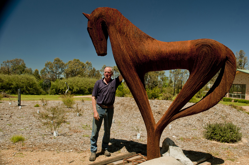 DavidElkins_Photography_Access_Horse.jpg