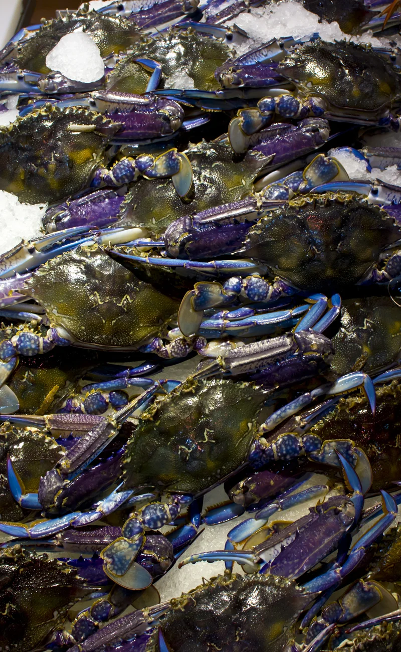 Blue Again.jpg