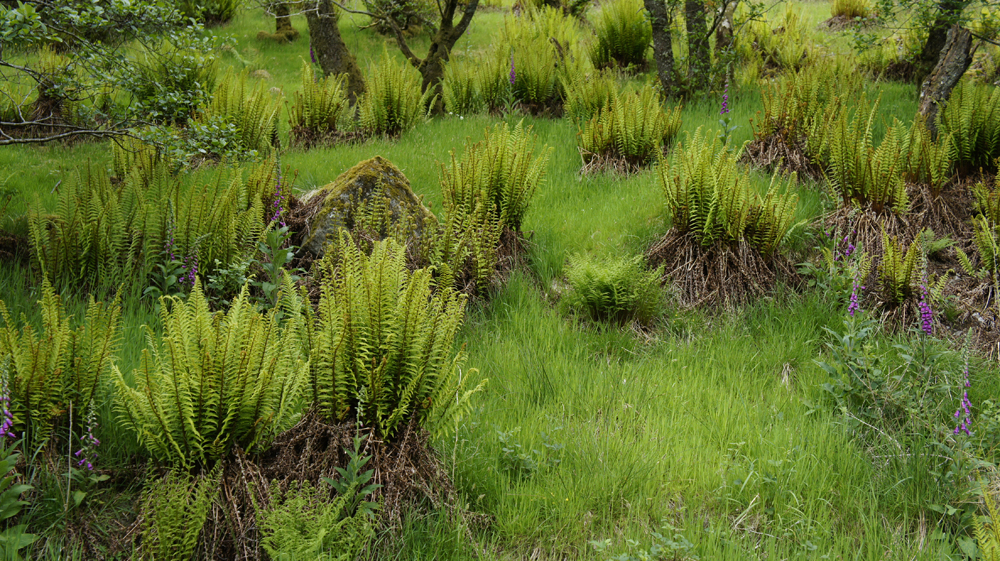 DavidElkins_Photography_Marsh.jpg