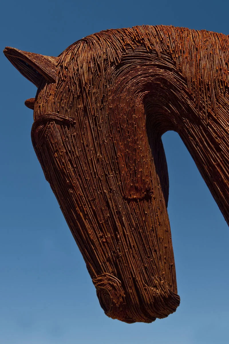 Jaggi 0153.jpg