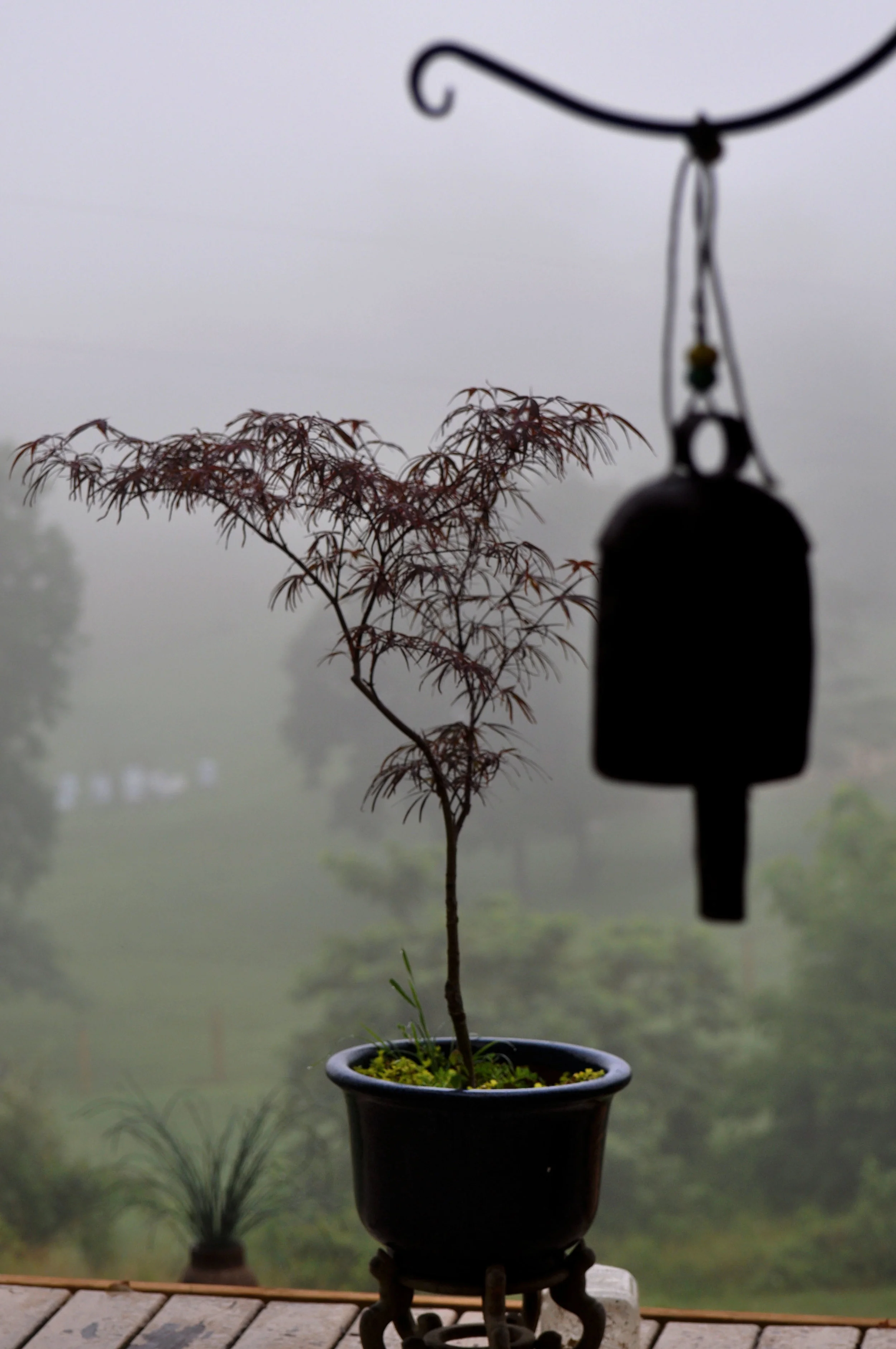 bell in fog.jpg