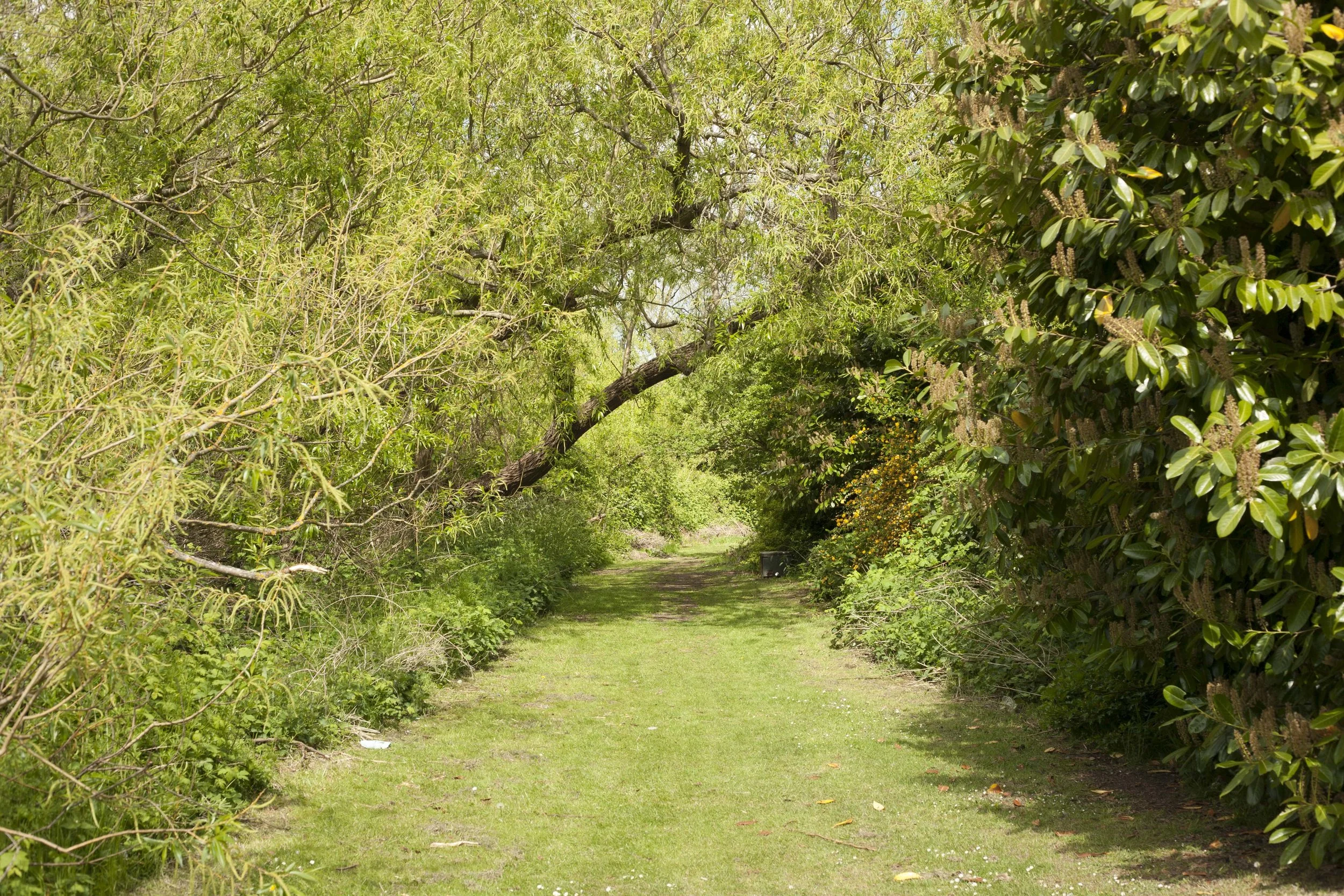 IMG_9723.jpg