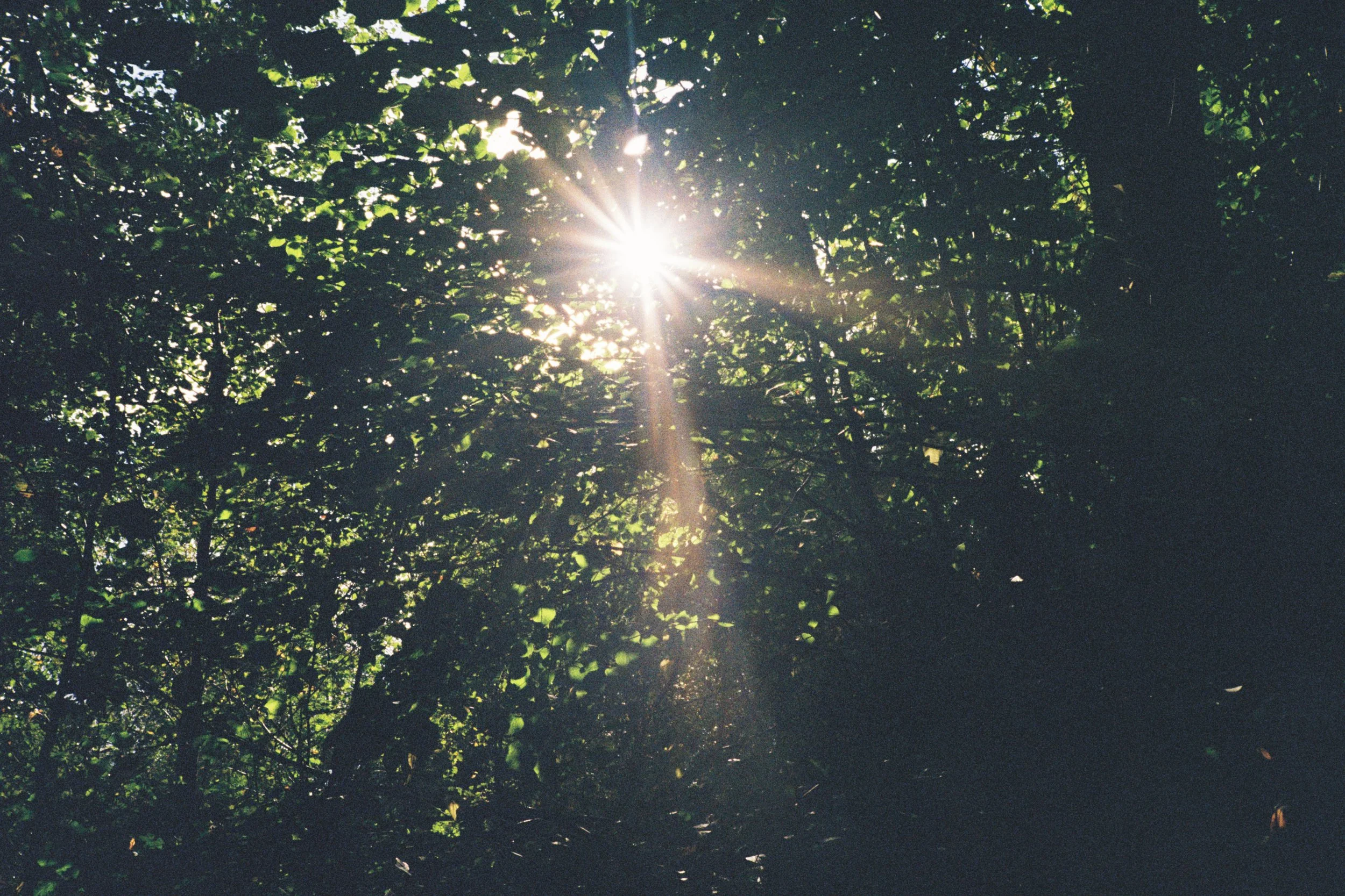 000066.JPG