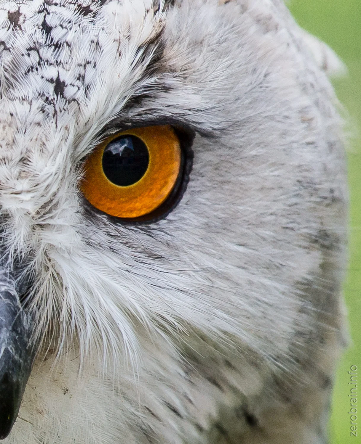 Unterwegs: Burg Beilstein