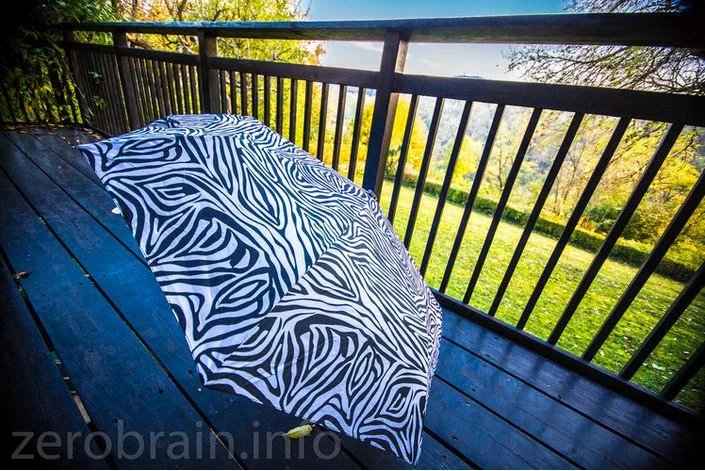 Test: Der beste Schirm für´s Zebra