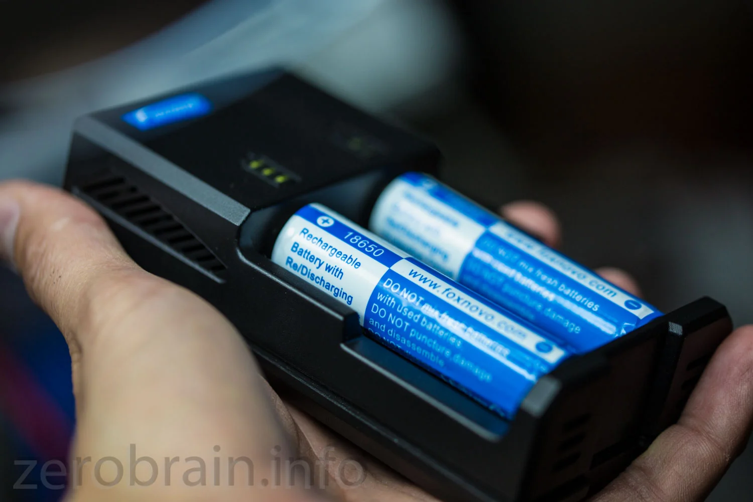 Test: 2 Port Akkulader (NiMH Li-Ion) &quot;Foxnovo F02&quot;