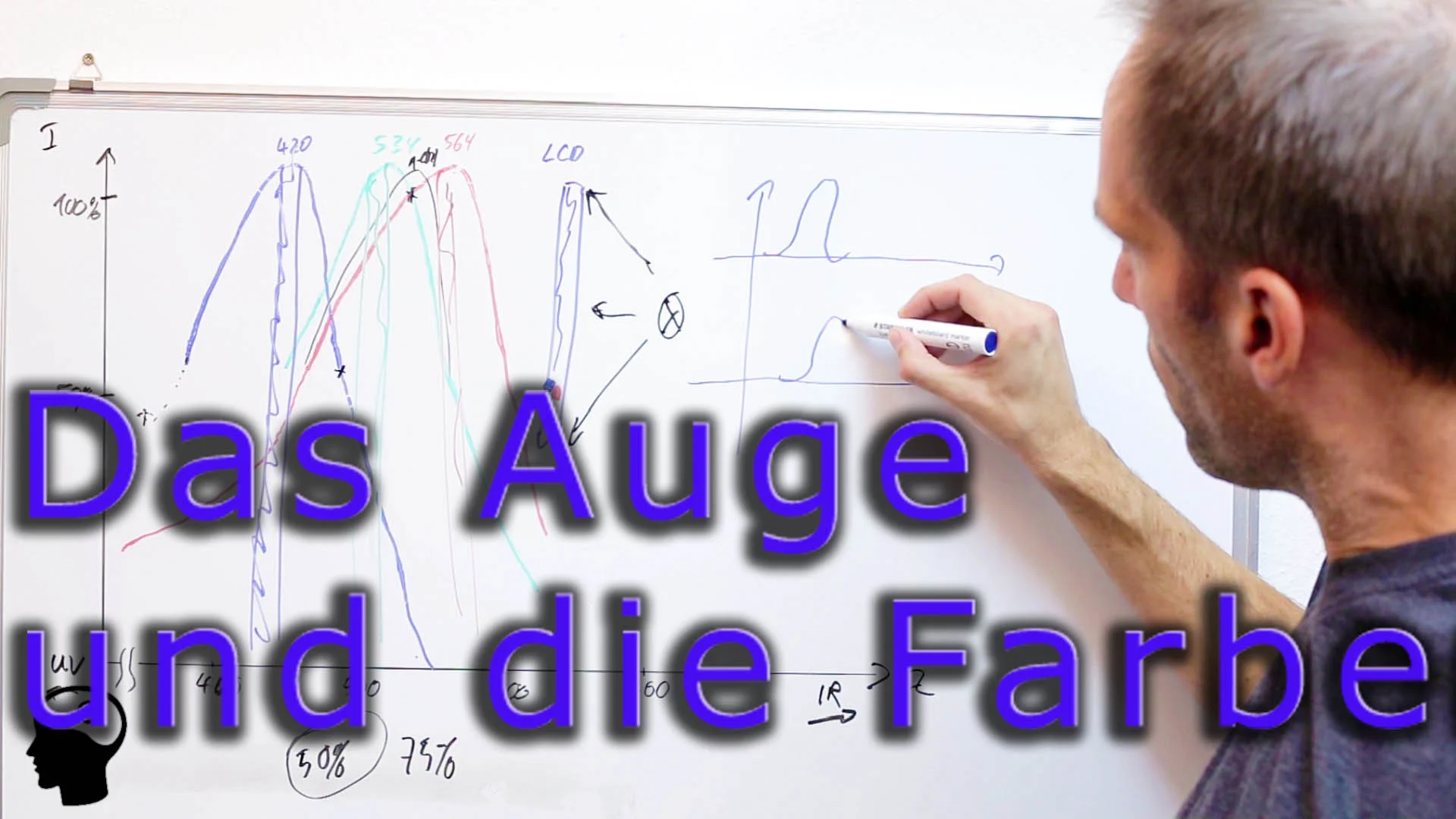 Grundlagen - Video: Farbwahrnehmung und Auge