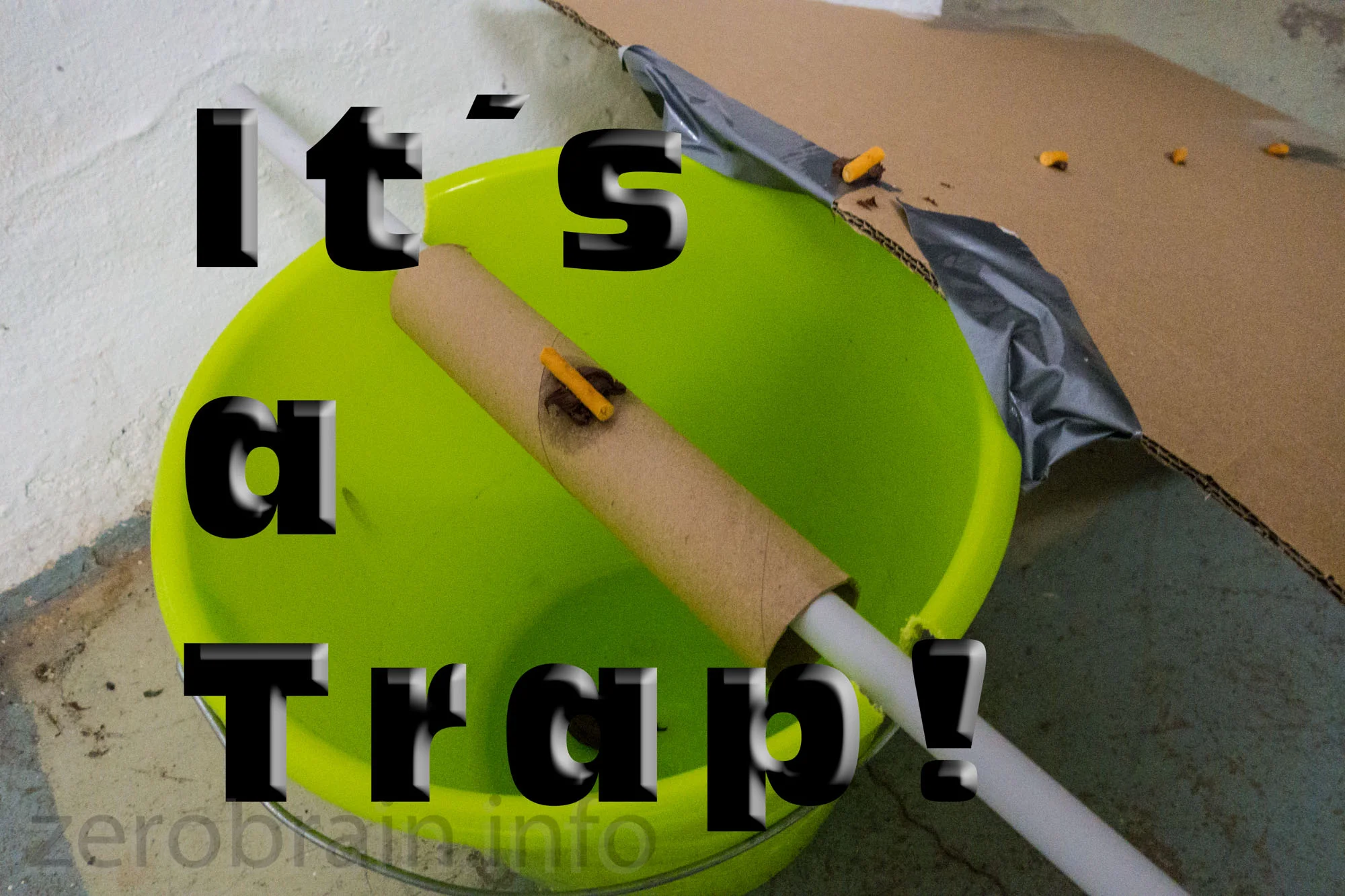 [Video] "It´s a trap!" - Lebend Mausefalle im Selbstbau