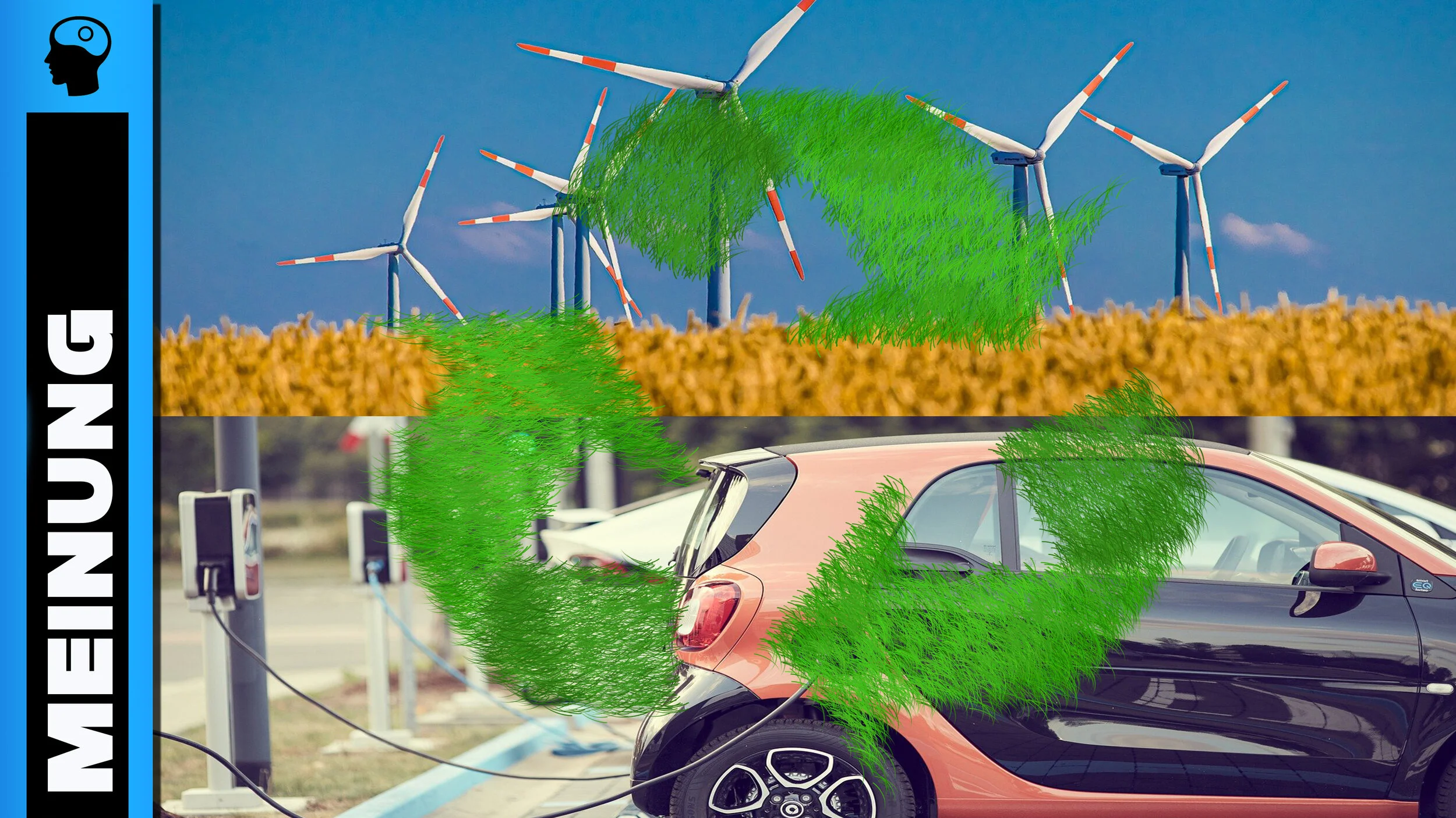 Elektroautos, Strohhalmverbot und andere Ökoplacebos