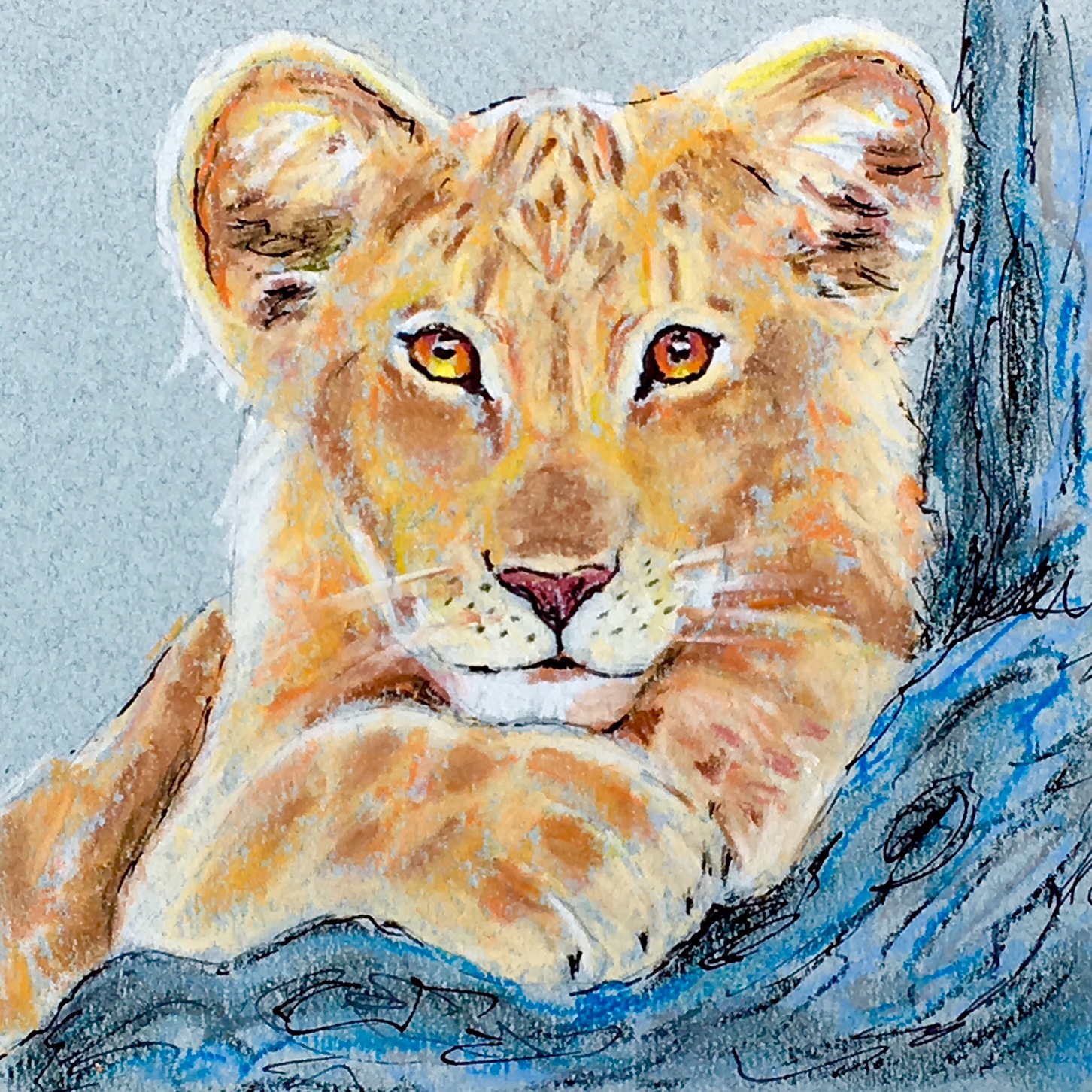 Lion Cub.JPG