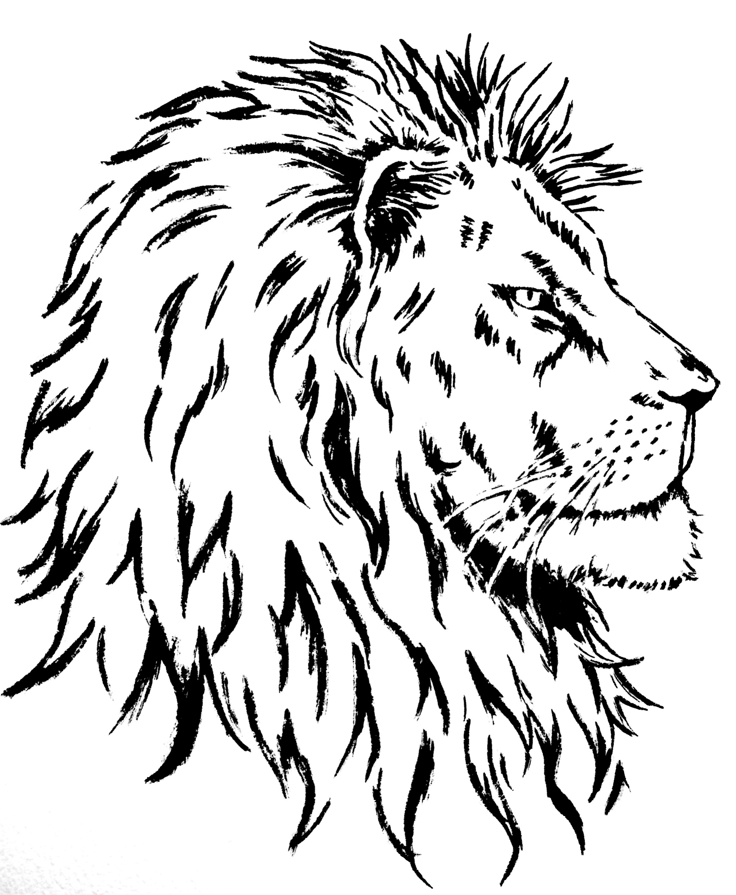 Save a Lion Shirt Design