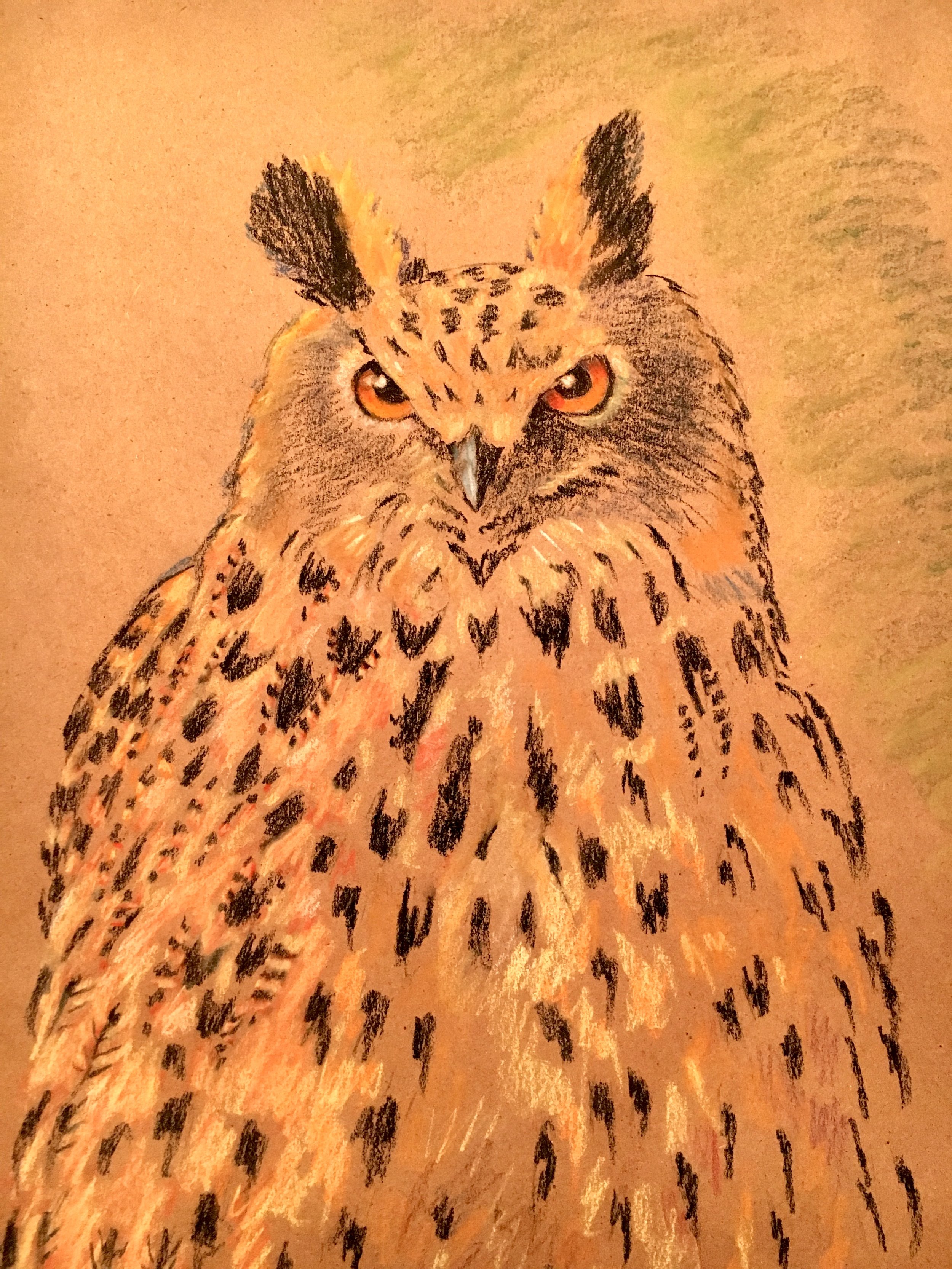 owl on craft p.jpg