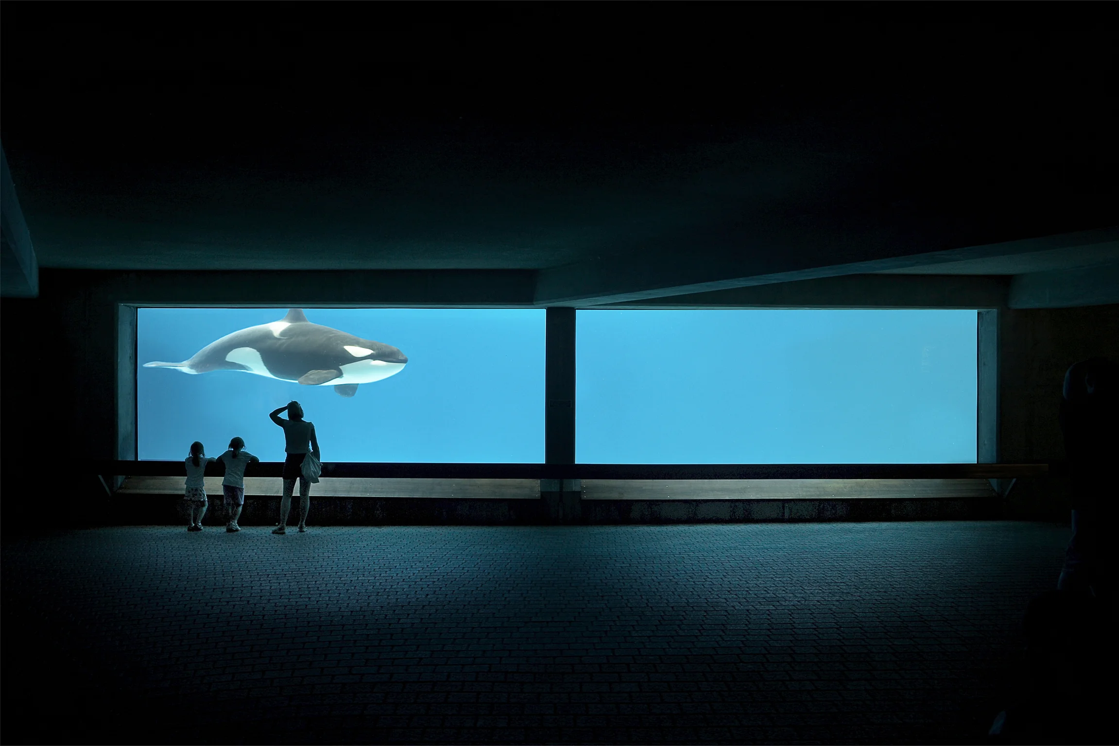 8-marineland_ipad_hr.jpg