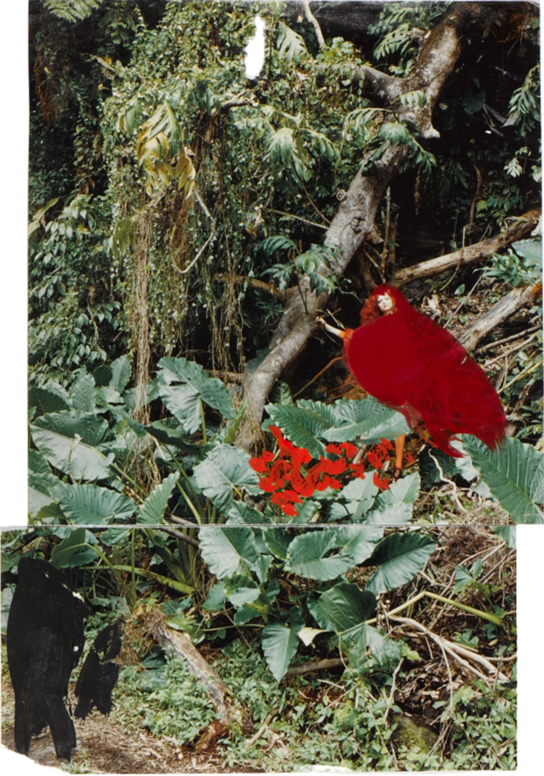 2009 · Little Red Riding Hood