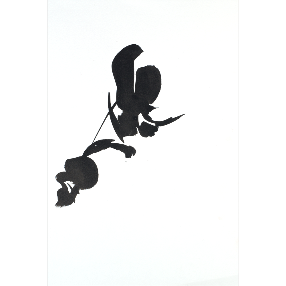 2009 · Orchid I