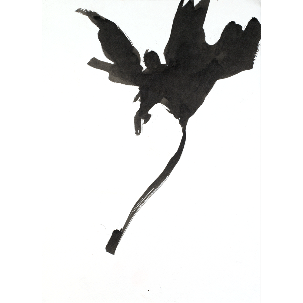 2008 · Autumn Leaves V