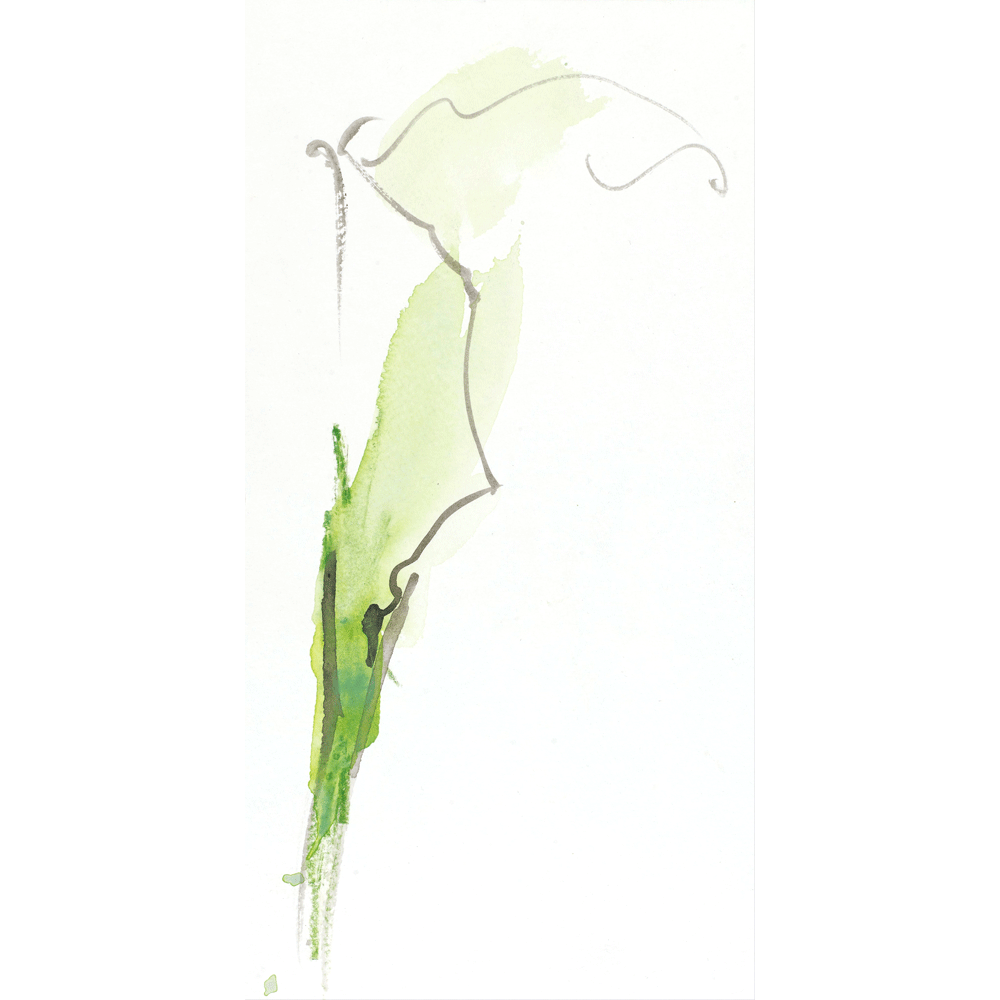 2010 · Calla Lily II