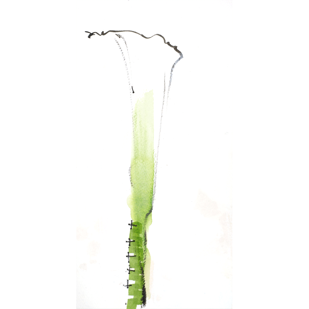 2010 · Calla Lily I