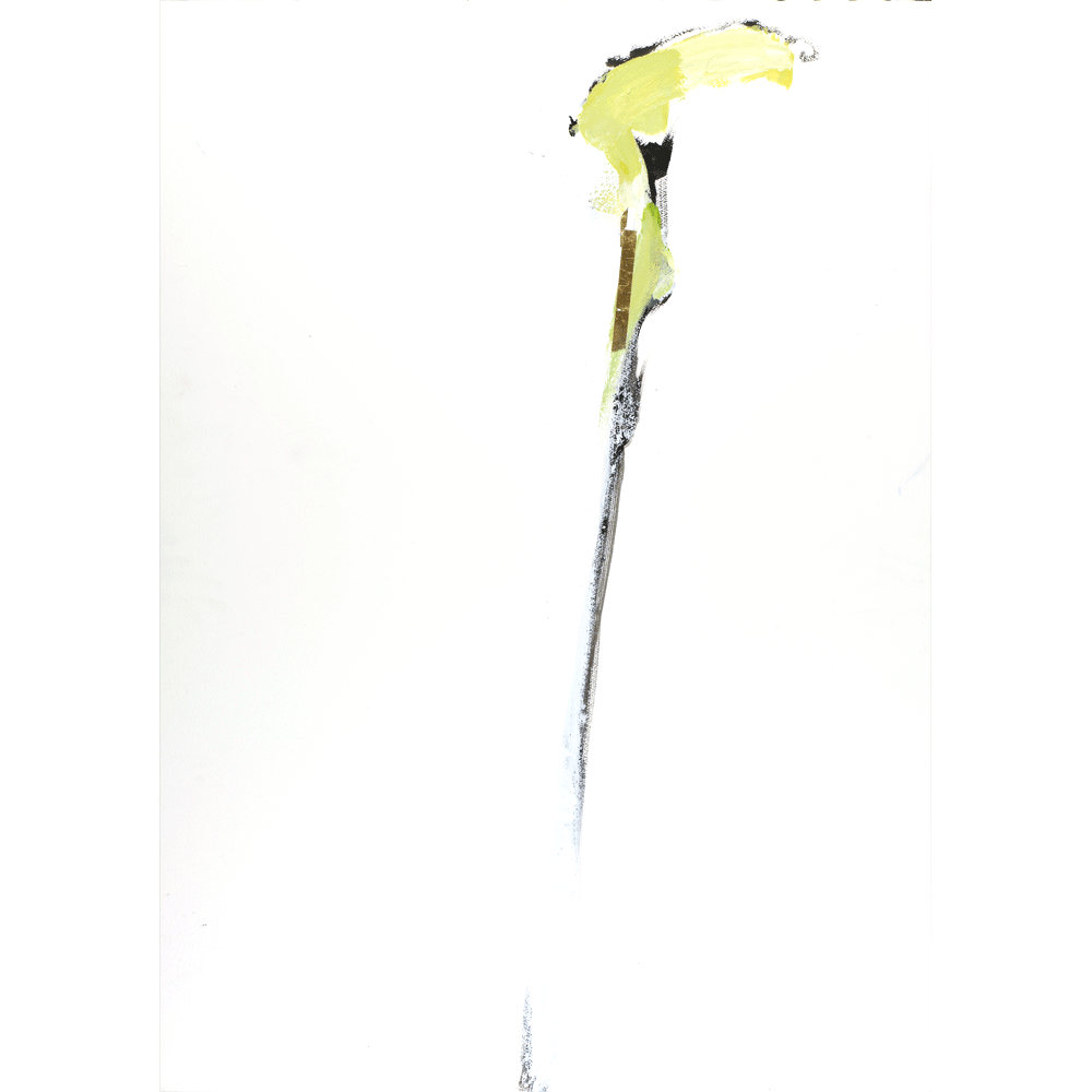 2010 · Calla Lily III