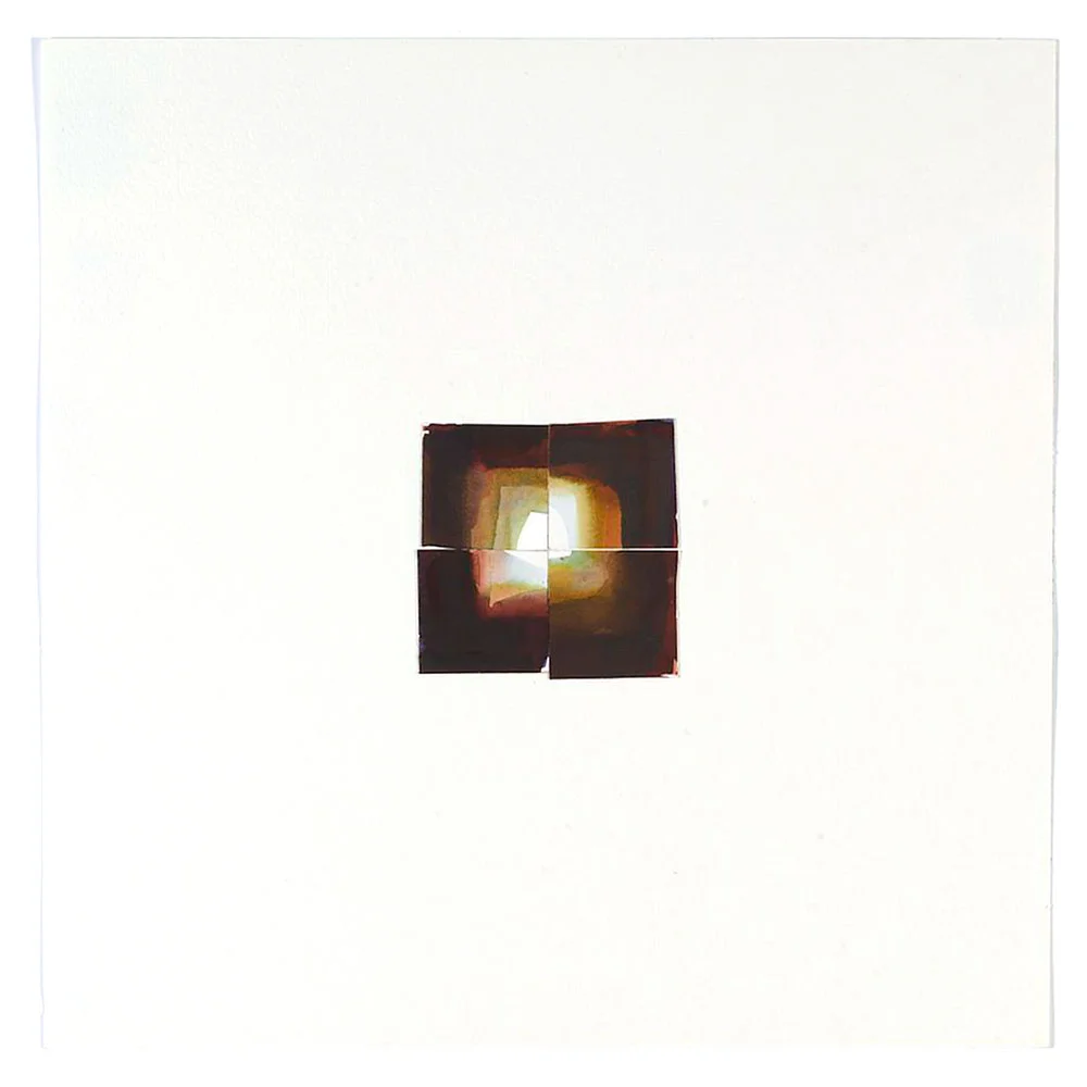 2011 · Small Collage in Brown I