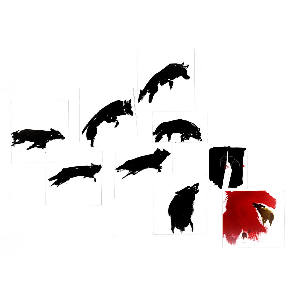 2009 - 2012 · Little Red Riding Hood · Wolves Installation I