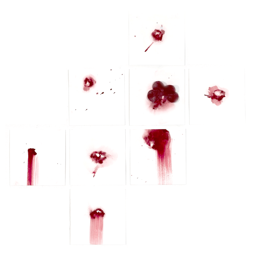 2013 · Little Red Riding Hood · The Bleeding Flower