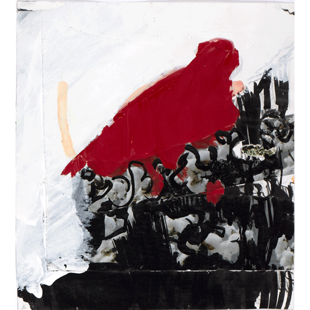2009 · Little Red Riding Hood